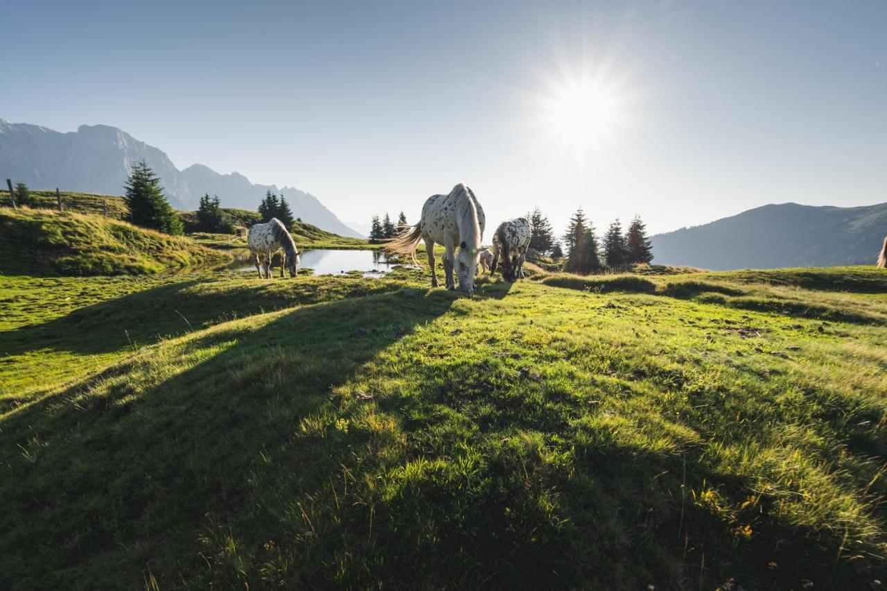 Alpenparks Hotel & Apartment Hochkoenig Muhlbach Am Hochkonig Exterior photo